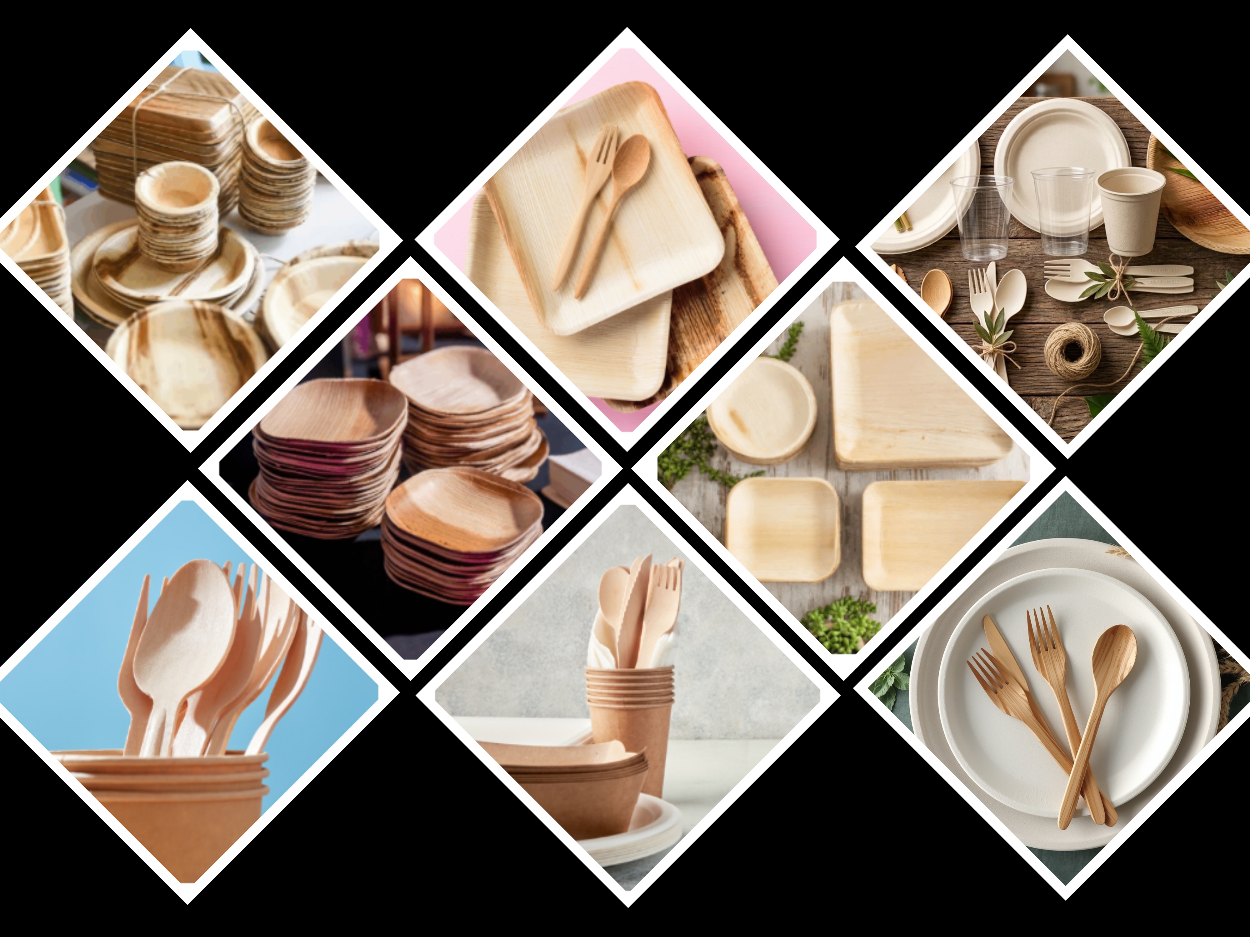 Bio-Degradable-Items-Export-Products