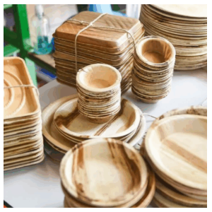 Biodegradable Plates and Bowls